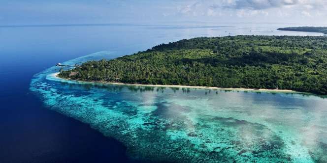 Cara Mudah dan Murah Jelajahi Wakatobi