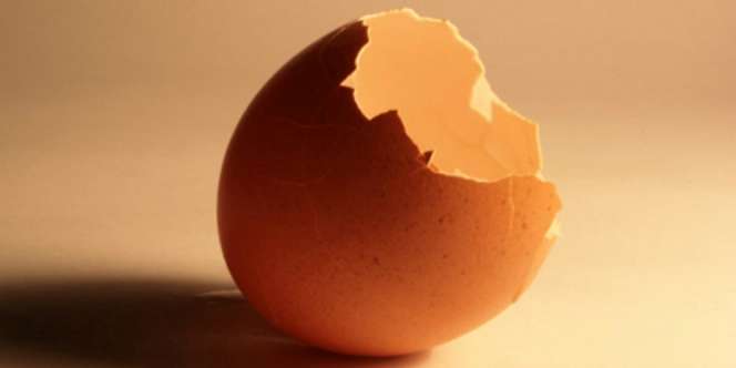 10 Manfaat Kulit Telur yang Belum Diketahui