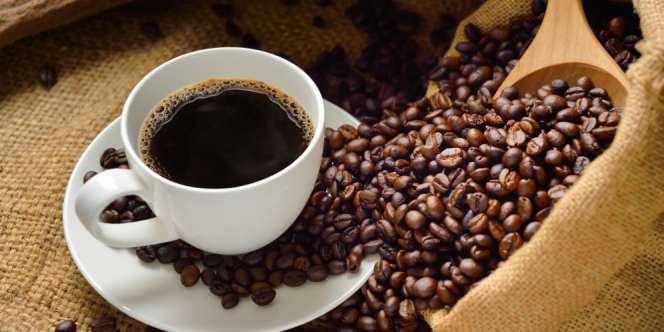 Ilmuwan Harvard Ungkap Fakta Mengejutkan tentang Kopi
