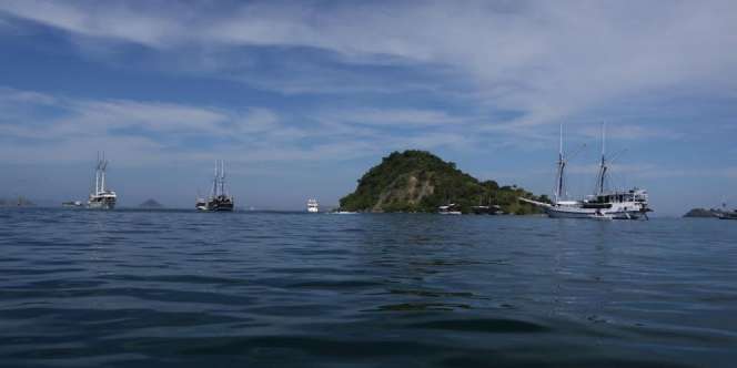 Mengenal Labuan Bajo, 'Gerbang' Pulau Komodo