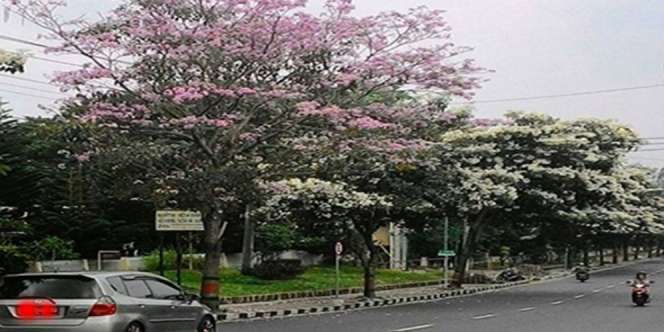 Netizen Terpesona Kota Indah di Indonesia, Dikira Jepang
