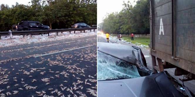 8 Mobil Tabrakan Beruntun Gara-gara Ceker Ayam