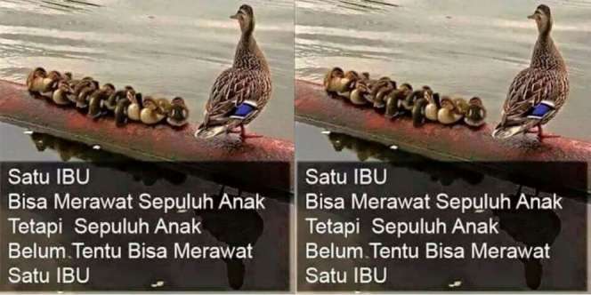 Ungkapan Hari Ibu `Tampar` para Anak