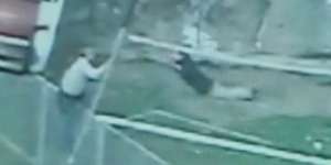 Pria Stress 'Lompat Indah' Ke Kandang Harimau