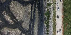 `Pulau Sampah` di Waduk Pluit