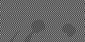Bisa Temukan Gambar Panda pada Garis-garis Ini?