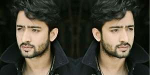 Shaheer Sheikh: 