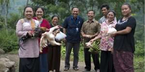 Bayar Listrik Unik Pakai Bebek, Ayam Sampai Singkong