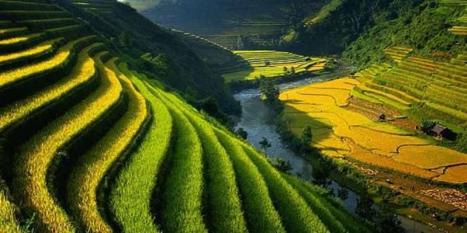 10 Destinasi Wisata yang Wajib Dikunjungi di Bulan Januari