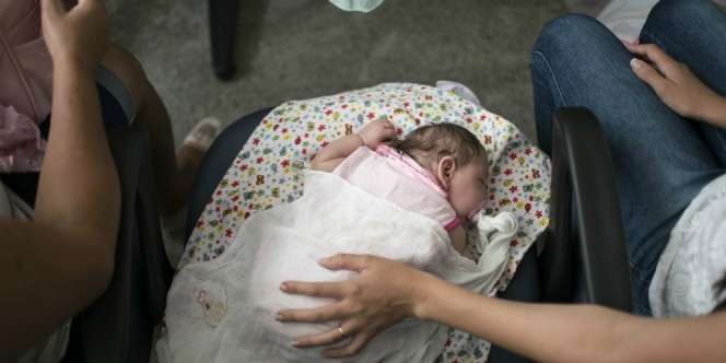 Bahaya dan Pencegahan Infeksi Virus Zika