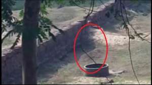 Video `Penampakan` Lompat ke Dalam Sumur