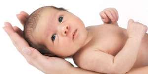 Rahasia Ubun-ubun dalam Alquran