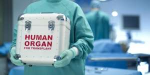Hukum Jual Beli Organ Tubuh