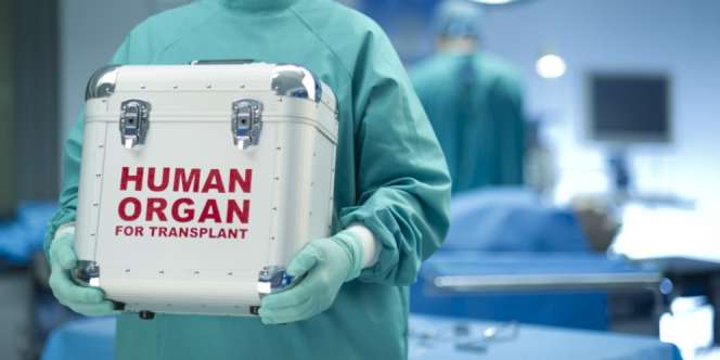 Hukum Jual Beli Organ Tubuh