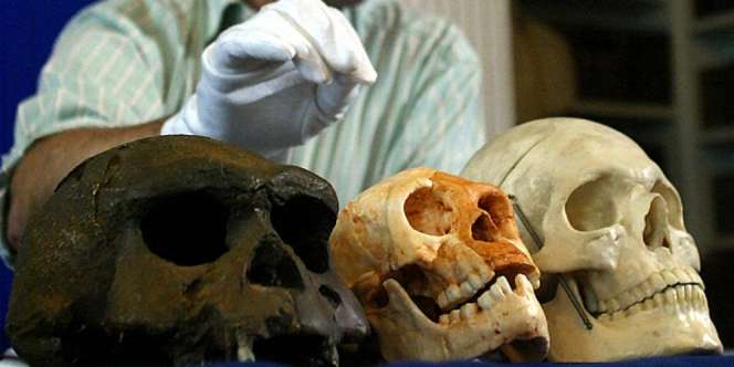 Misteri `Manusia Hobbit` di Flores Terkuak