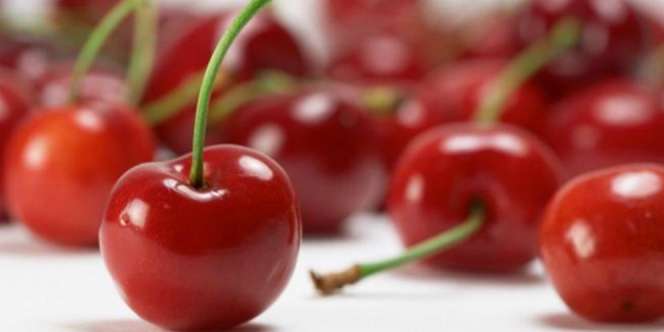 `Si Kecil` Cherry Kaya Manfaat