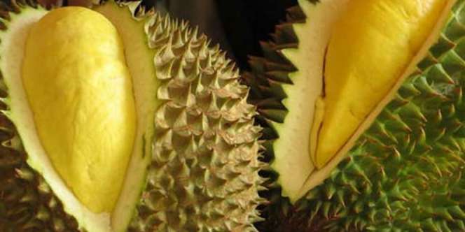 Catat Tanggalnya! Festival Durian 2016 Sapa Warga Jakarta