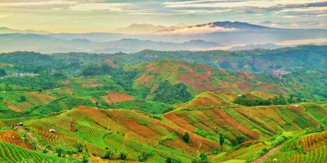 Dikira Vietnam, Pesona 'Bukit Bintang' Buat Traveler Takjub