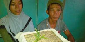 Alquran Ditumbuhi Anggrek Gegerkan Warga Aceh