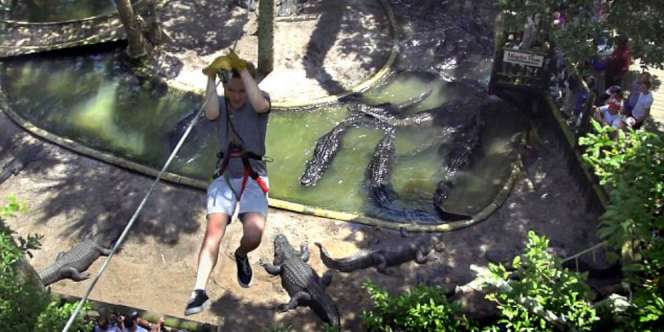 Menjajal 'Flying Fox Kematian', Berani?  