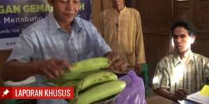 Menabung Sayur, Berbunga Uang