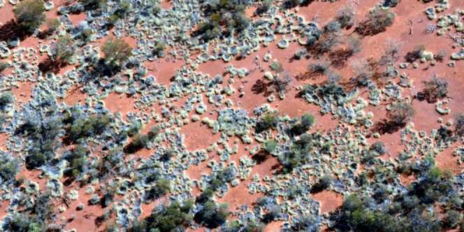 `Lingkaran Peri` Misterius Ditemukan di Australia
