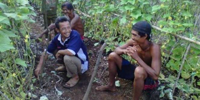 Petani Lulusan SD Sulap Lahan Nganggur Jadi Berlimpah Sayur
