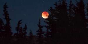 Gerhana Bulan Malam Ini, Berikut Cara Salat dan Bacaannya