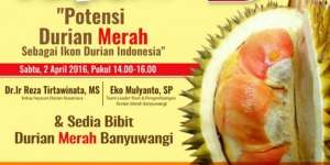 Urban Green Festival: Ada Pesta Durian di Kelapa Gading...