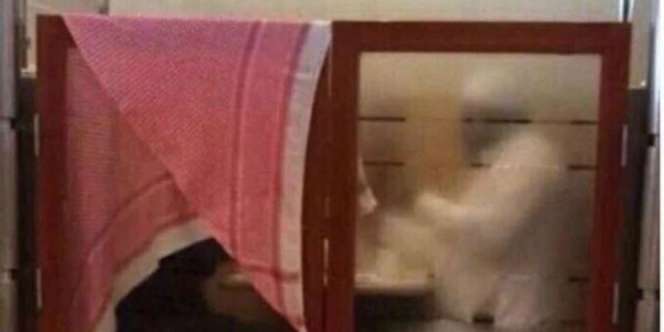 Foto Suami-Istri di Restoran Ini Bikin Geger Dunia, Mengapa?