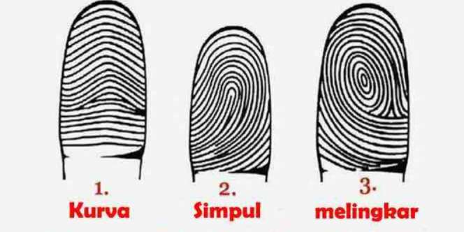 Kenali Kepribadian dari Sidik Jari, Anda Tipe yang Mana?