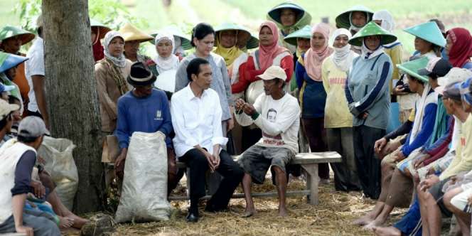 Balik Jakarta, Jokowi Minta Sekarung Daun Bawang Penuh Ulat