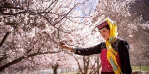 Indahnya Musim Semi Muslim Xinjiang