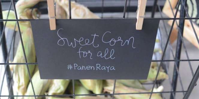 Saat Panen Petani Bogor Tak Dihargai, Mereka Memilih....
