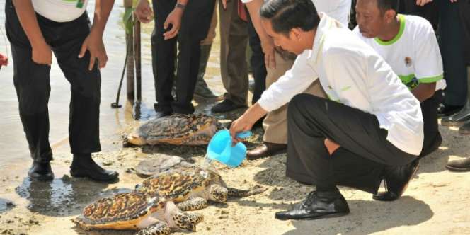 Kebun Kelapa Sawit dan Tambang Target Moratorium Selanjutnya