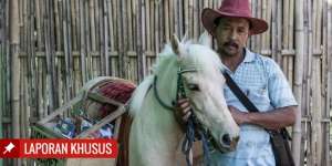 Ilmu dari Punggung Luna