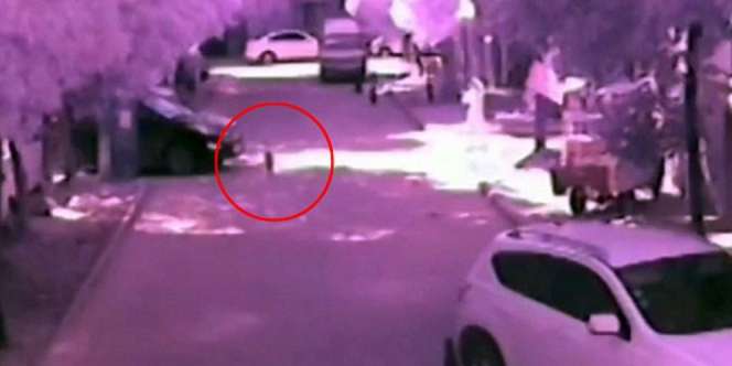 Ibu Sibuk Main Ponsel, Anak Tewas Ditabrak Mobil