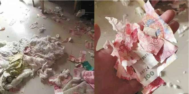 Niat Simpanan Buat Nikah, Uang Rp200 Juta Malah Busuk