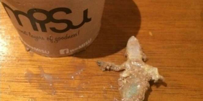Heboh 'Tiramisu Cicak', Ini Kata Restoran Steak Ternama