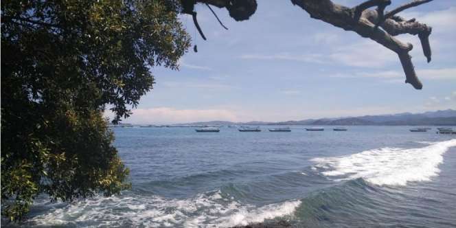 Wisata Menyelam Murah Sepuasnya di Pantai Carocok Painan