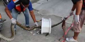 Suami Kebelet Buang Air Besar, Astaga dari Toilet Keluar...
