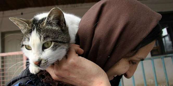 Ulama Ini Haramkan Selfie dengan Kucing