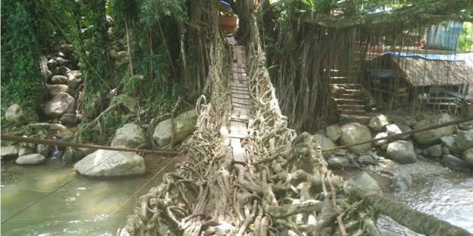 Keunikan Wisata Jembatan Akar Berusia Ratusan Tahun