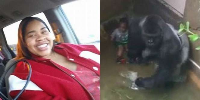Ibu Bocah yang Jatuh ke Kandang Gorila Itu Kini Bernasib...
