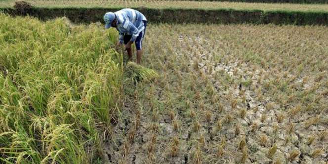 Hukum Puasa untuk Para Pekerja Berat