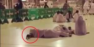 Video Kucing Bangunkan Jemaah Masjidil Haram Agar Sholat