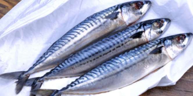 Bikin Menu Ikan Makarel Sendiri di Rumah Yuk!