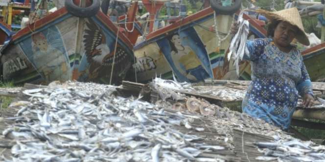 Halal, Jokowi Dorong Kampanye Makan Ikan