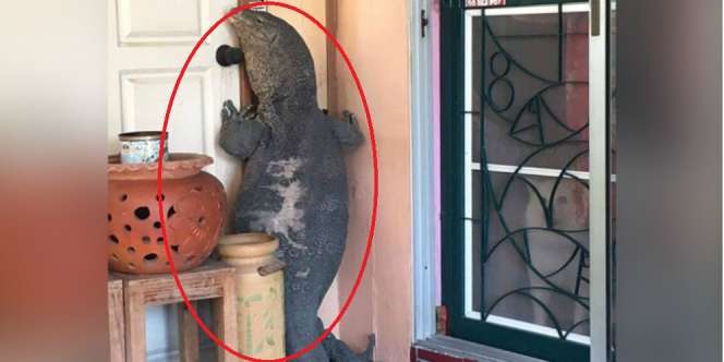 Suara Pintu Diketuk Keras, Tamu Tak Diundang Itu Ternyata...