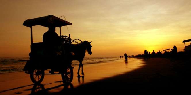 Misteri Arus Balik Mematikan di Pantai Parangtritis, Ternyata